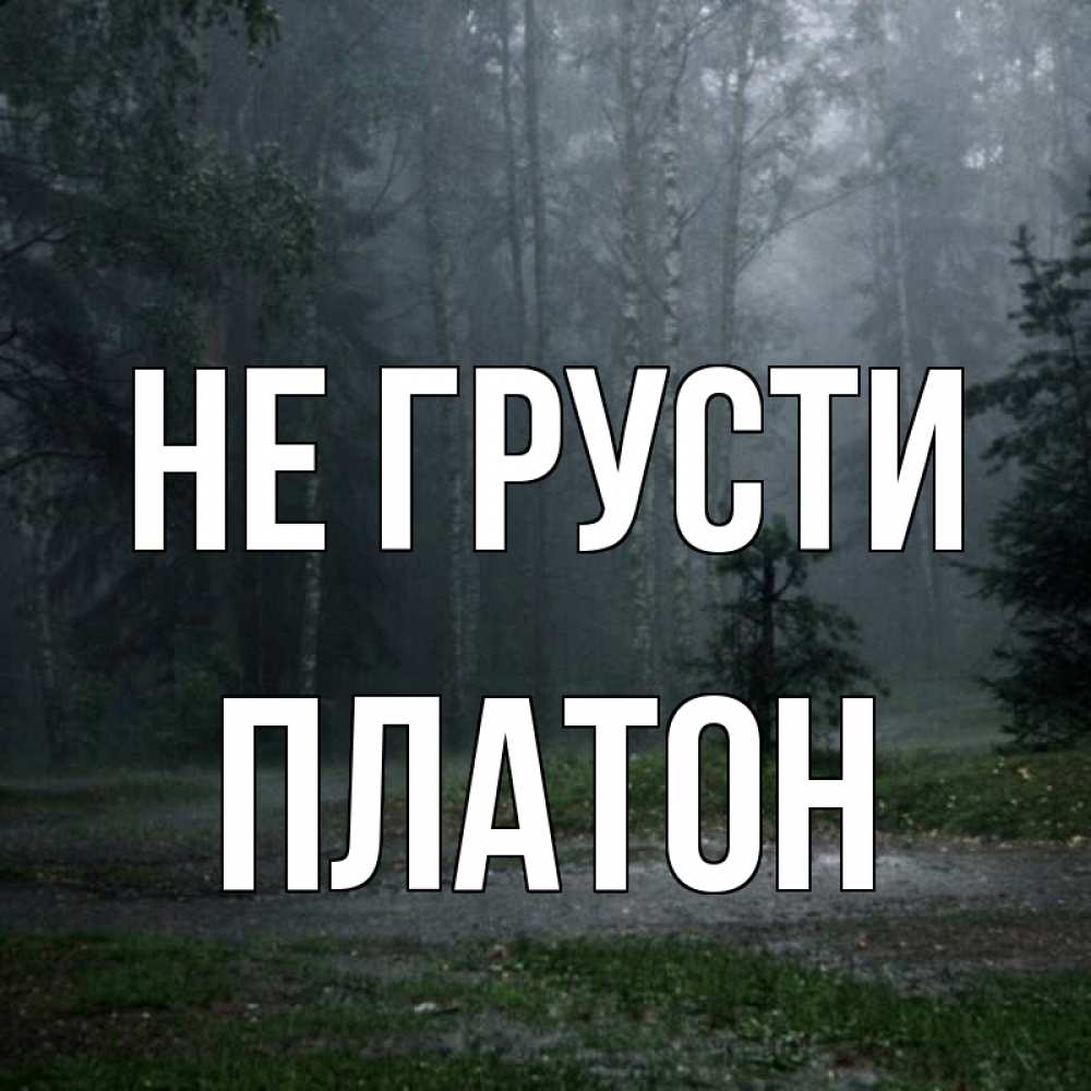 Открытка на каждый день с именем, Платон Не грусти осень Прикольная открытка с пожеланием онлайн скачать бесплатно 