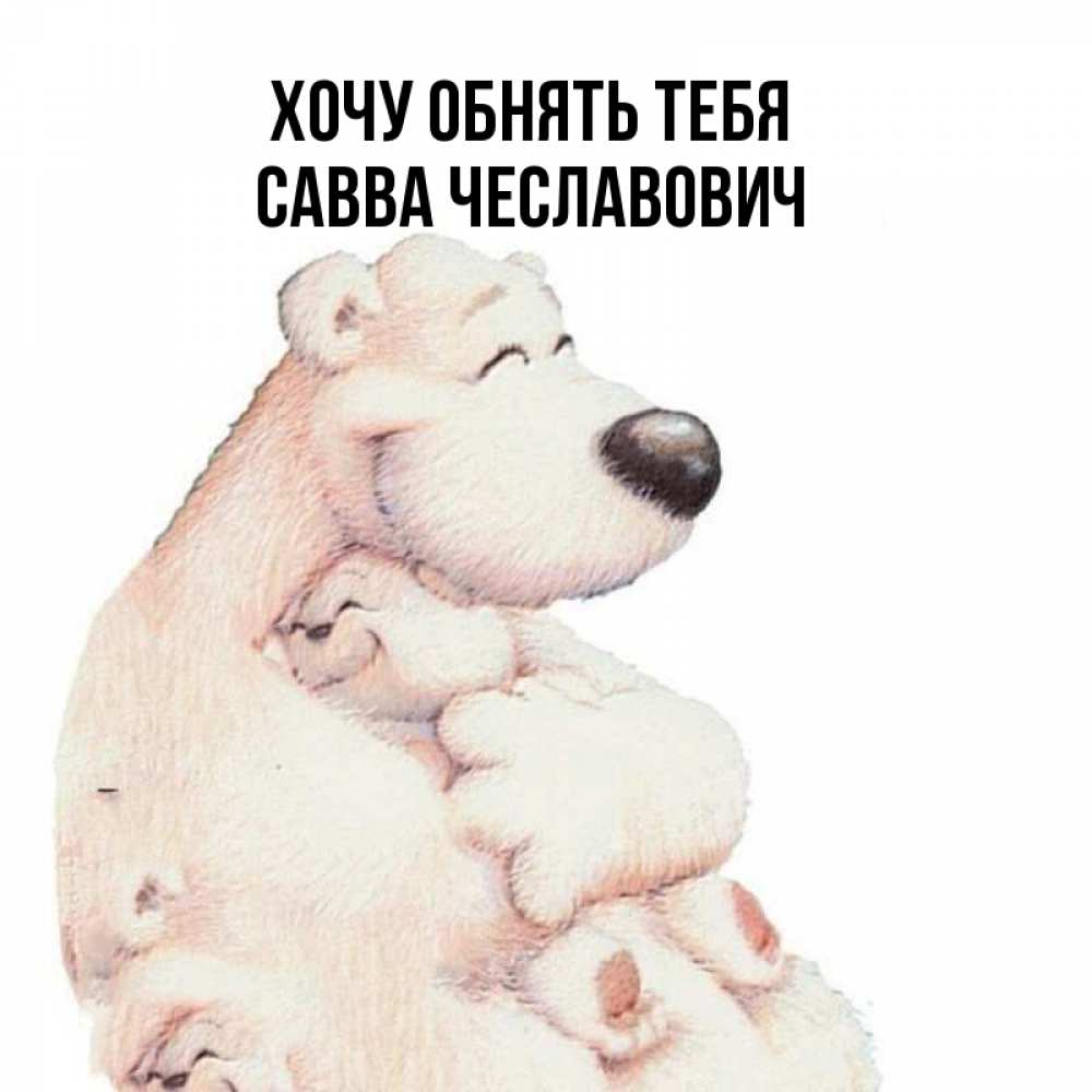 Ты Мой Медвежонок