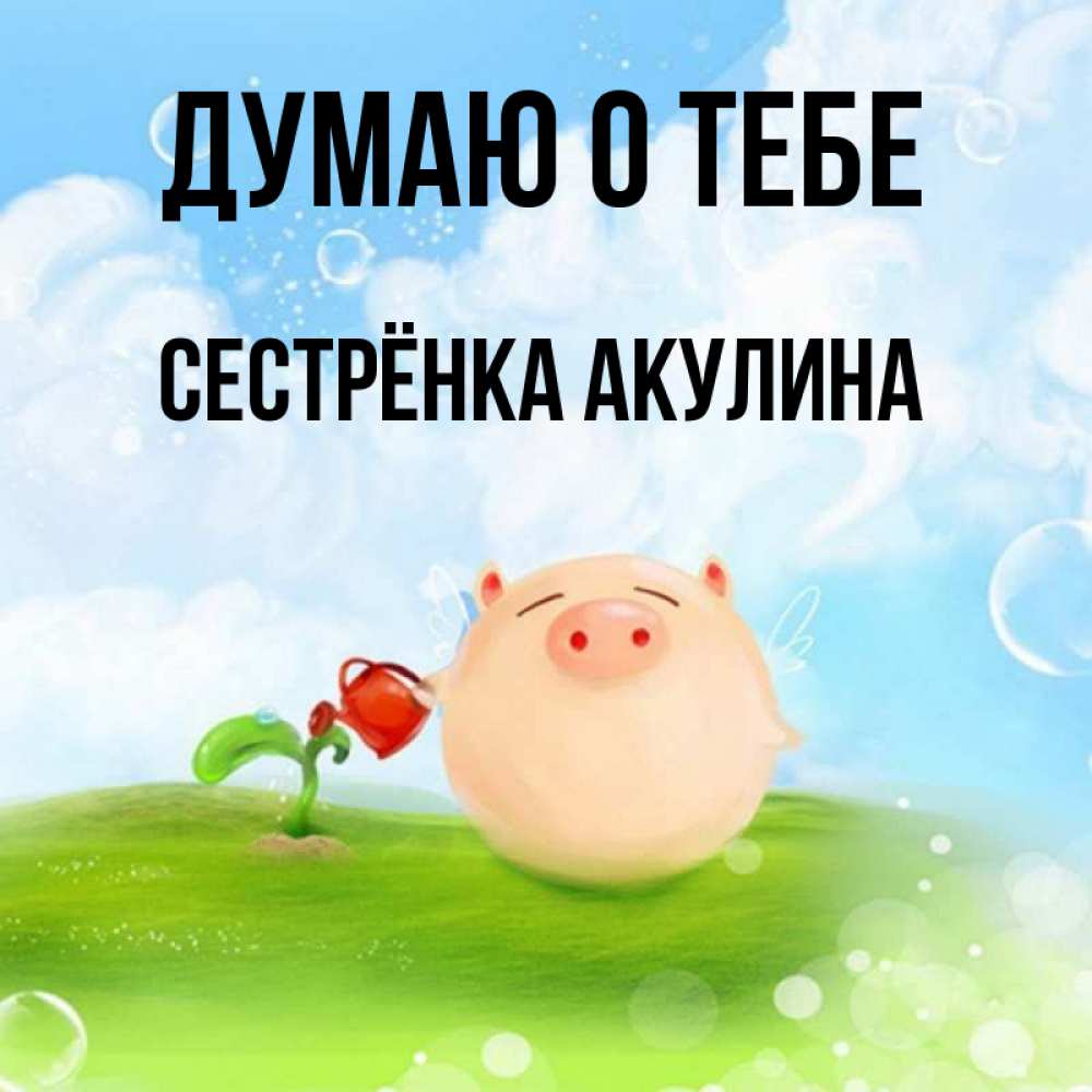 Открытка на каждый день с именем, Сестрёнка-Акулина Думаю о тебе позитивная свинюшка Прикольная открытка с пожеланием онлайн скачать бесплатно 