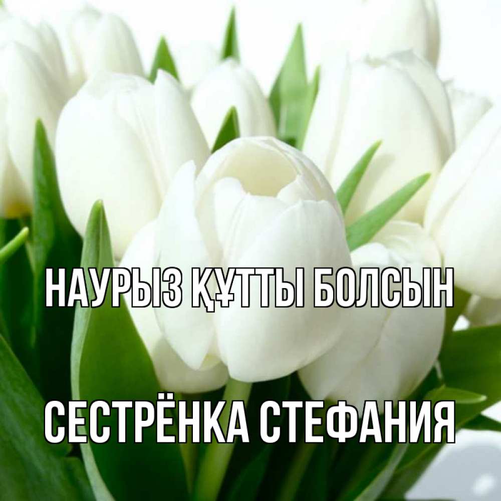 Открытка на каждый день с именем, Сестрёнка-Стефания Наурыз құтты болсын цветы Прикольная открытка с пожеланием онлайн скачать бесплатно 