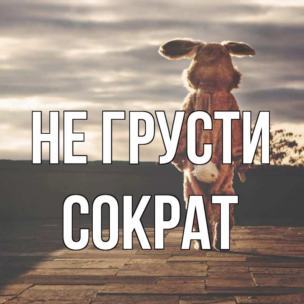 Открытка на каждый день с именем, Сократ Не грусти со спины Прикольная открытка с пожеланием онлайн скачать бесплатно 