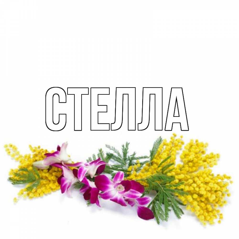 Открытка на каждый день с именем, Стелла Главная открытка  наурыз с цветами  1 Прикольная открытка с пожеланием онлайн скачать бесплатно 