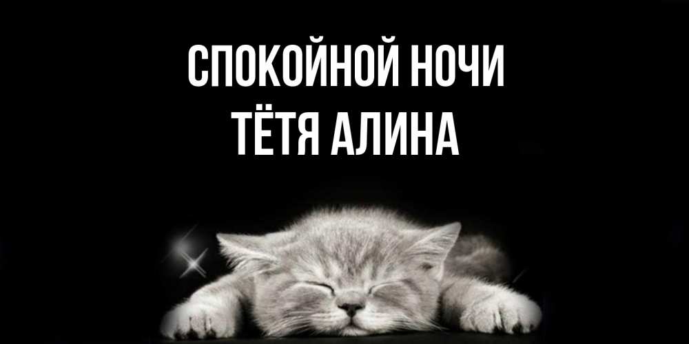 Открытка на каждый день с именем, Тётя-Алина Спокойной ночи спящий котик Прикольная открытка с пожеланием онлайн скачать бесплатно 