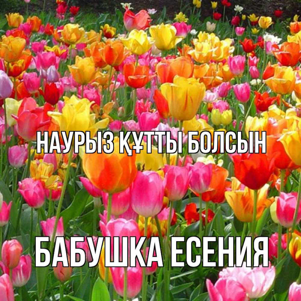 Открытка на каждый день с именем, Бабушка-Есения Наурыз құтты болсын на наурыз  ура ура Прикольная открытка с пожеланием онлайн скачать бесплатно 