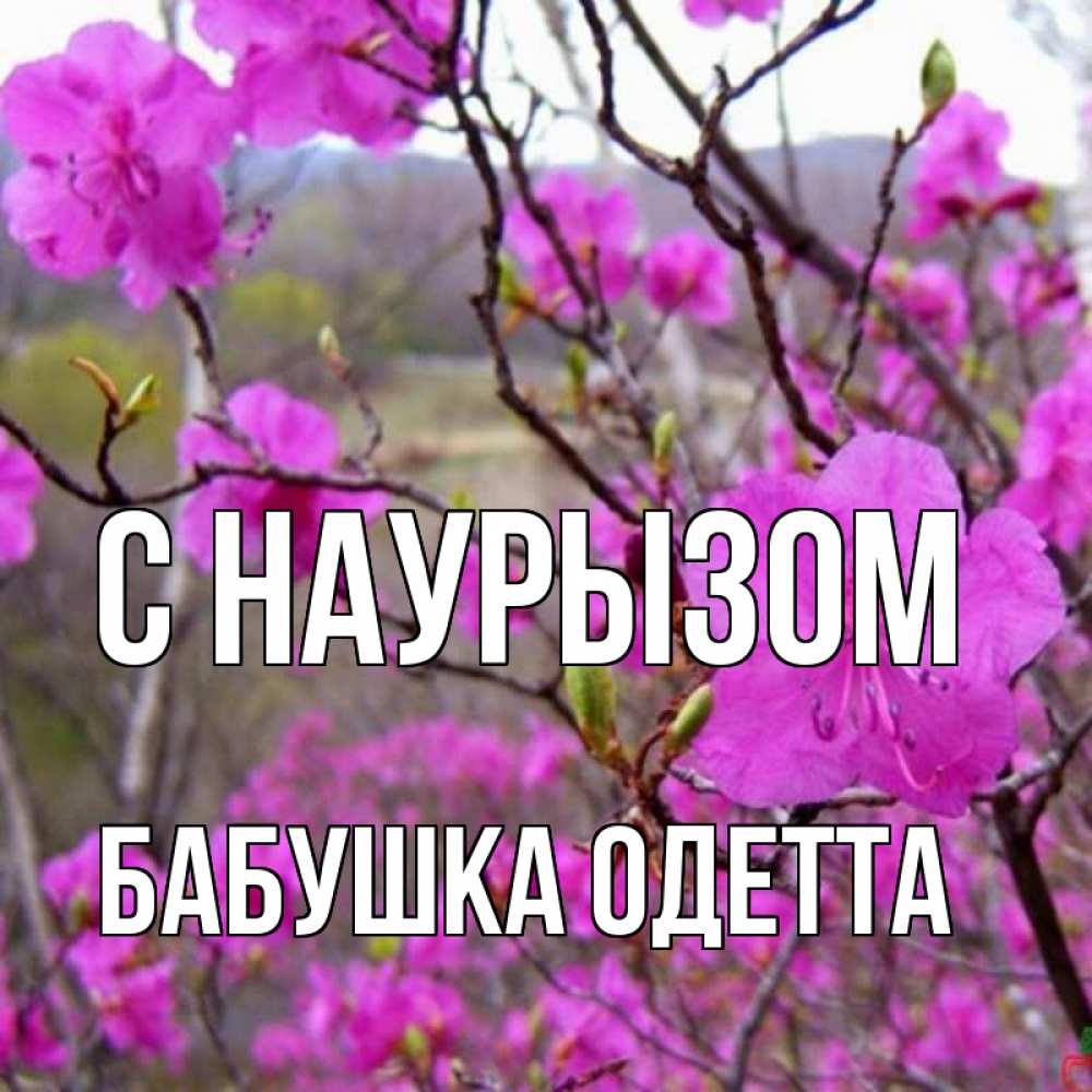 Открытка на каждый день с именем, Бабушка-Одетта С наурызом праздник весны наурыз Прикольная открытка с пожеланием онлайн скачать бесплатно 
