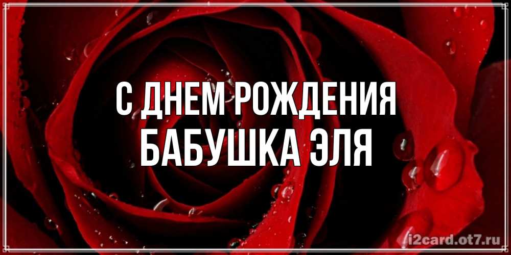 Открытка на каждый день с именем, Бабушка-Эля С днем рождения крупная бордовая роза Прикольная открытка с пожеланием онлайн скачать бесплатно 