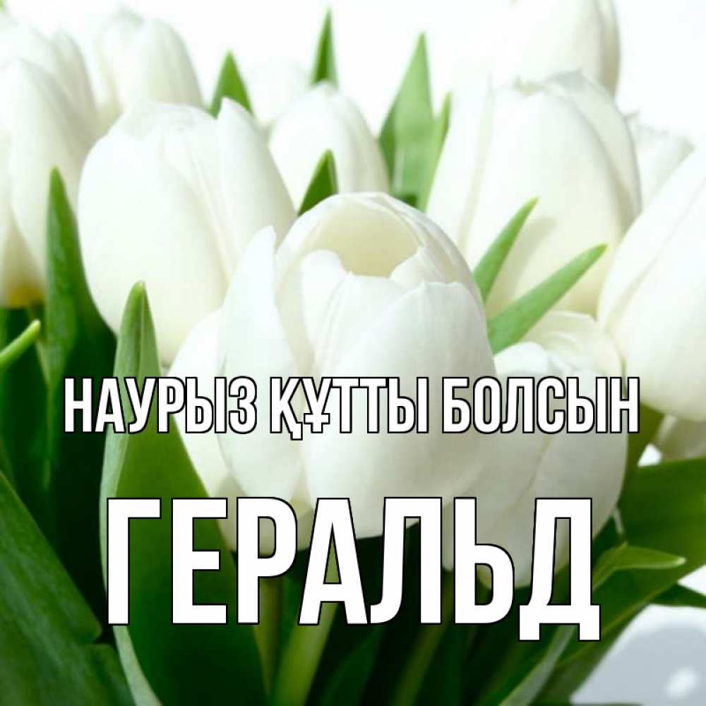 Открытка на каждый день с именем, Геральд Наурыз құтты болсын цветы Прикольная открытка с пожеланием онлайн скачать бесплатно 
