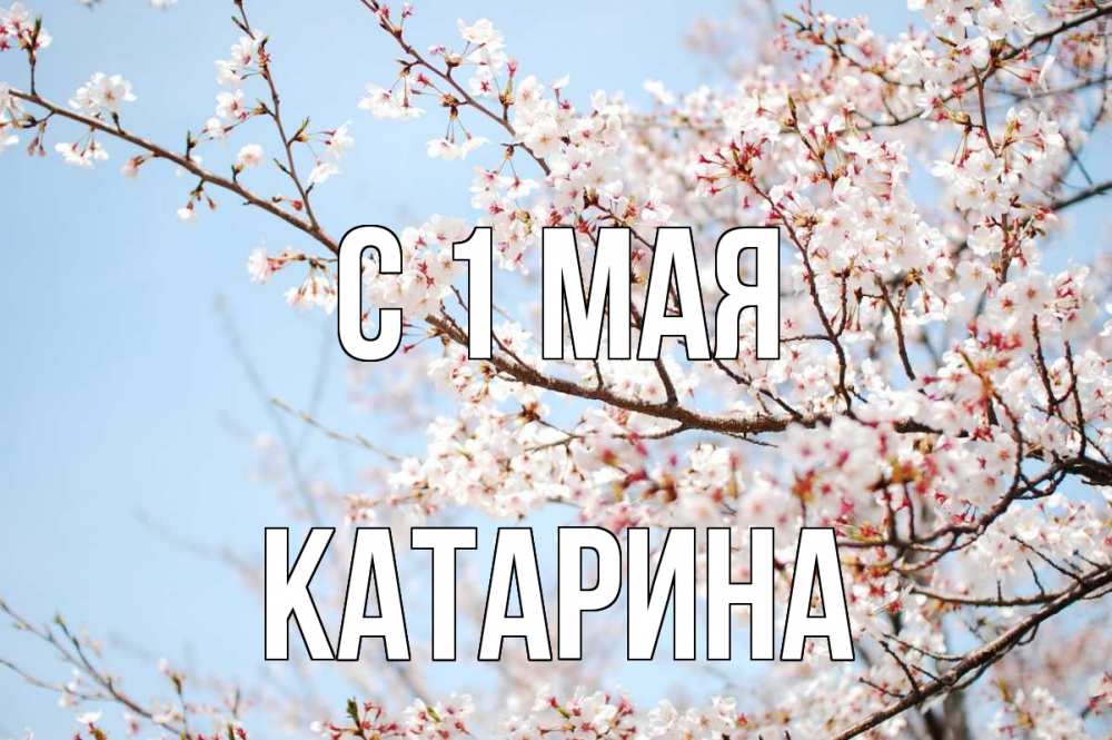 Открытка на каждый день с именем, Катарина С 1 мая С 1 мая Прикольная открытка с пожеланием онлайн скачать бесплатно 