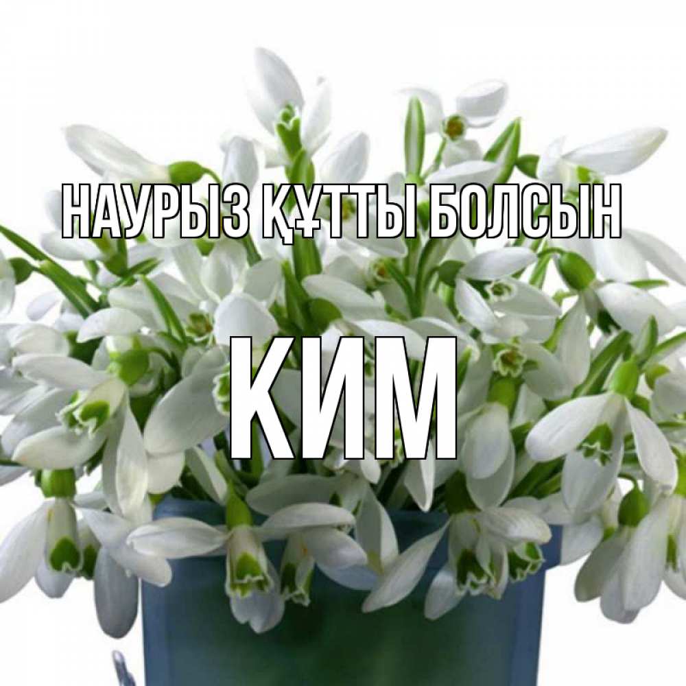 Открытка на каждый день с именем, Ким Наурыз құтты болсын цветы к наурызу Прикольная открытка с пожеланием онлайн скачать бесплатно 