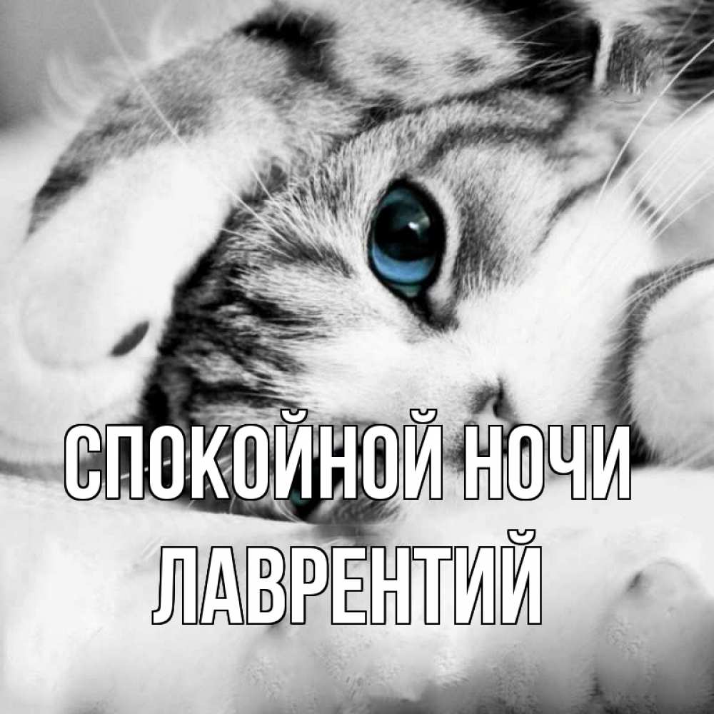 Открытка на каждый день с именем, Лаврентий Спокойной ночи кот устал Прикольная открытка с пожеланием онлайн скачать бесплатно 