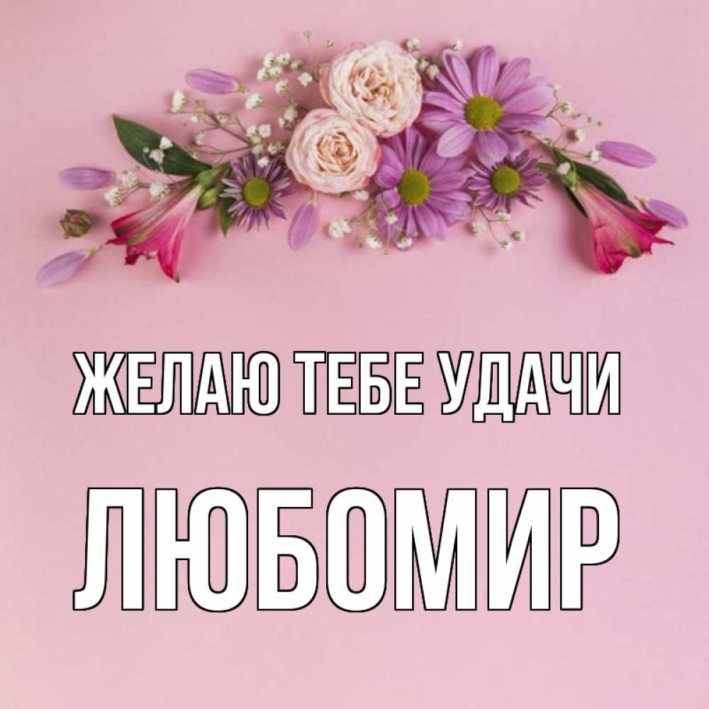 Открытка на каждый день с именем, Любомир Желаю тебе удачи розовый фон Прикольная открытка с пожеланием онлайн скачать бесплатно 