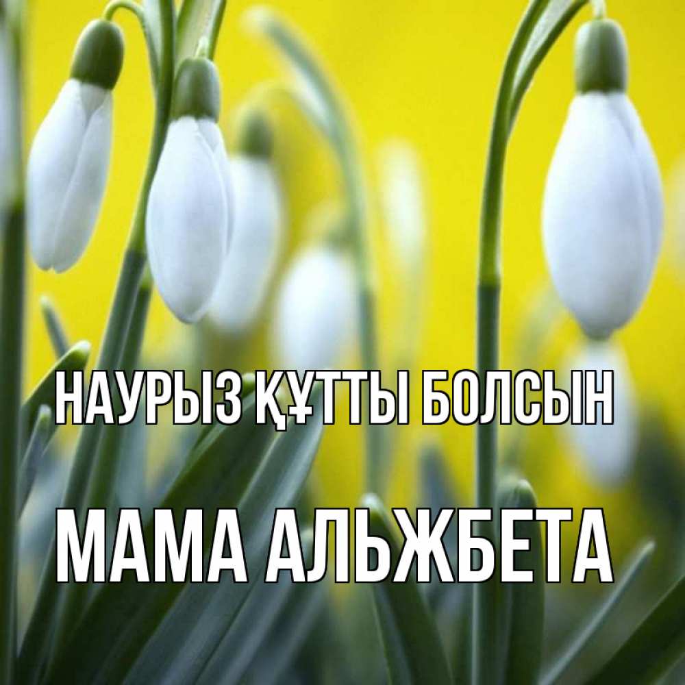 Открытка на каждый день с именем, Мама-Альжбета Наурыз құтты болсын весенние цветы Прикольная открытка с пожеланием онлайн скачать бесплатно 