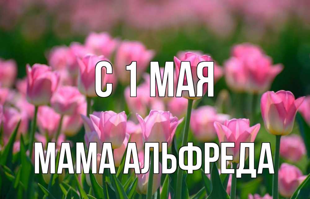 Открытка на каждый день с именем, Мама-Альфреда С 1 мая С 1 мая Прикольная открытка с пожеланием онлайн скачать бесплатно 