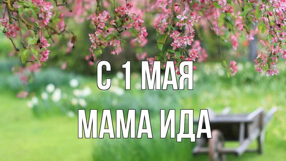 Открытка на каждый день с именем, Мама-Ида С 1 мая С 1 мая Прикольная открытка с пожеланием онлайн скачать бесплатно 