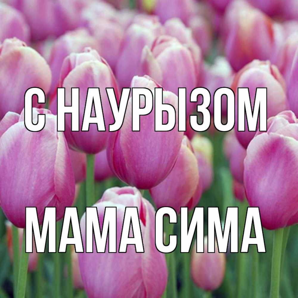 Открытка на каждый день с именем, Мама-Сима С наурызом праздник весны наурыз 69 Прикольная открытка с пожеланием онлайн скачать бесплатно 