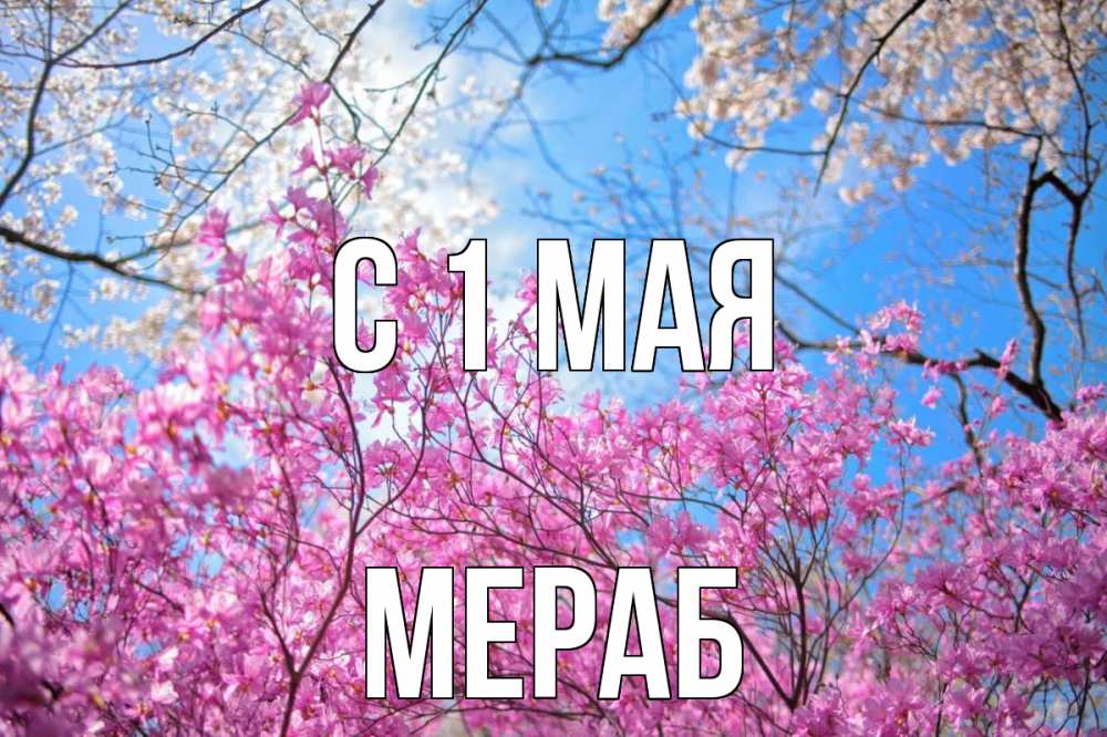 Открытка на каждый день с именем, Мераб С 1 мая С 1 мая Прикольная открытка с пожеланием онлайн скачать бесплатно 