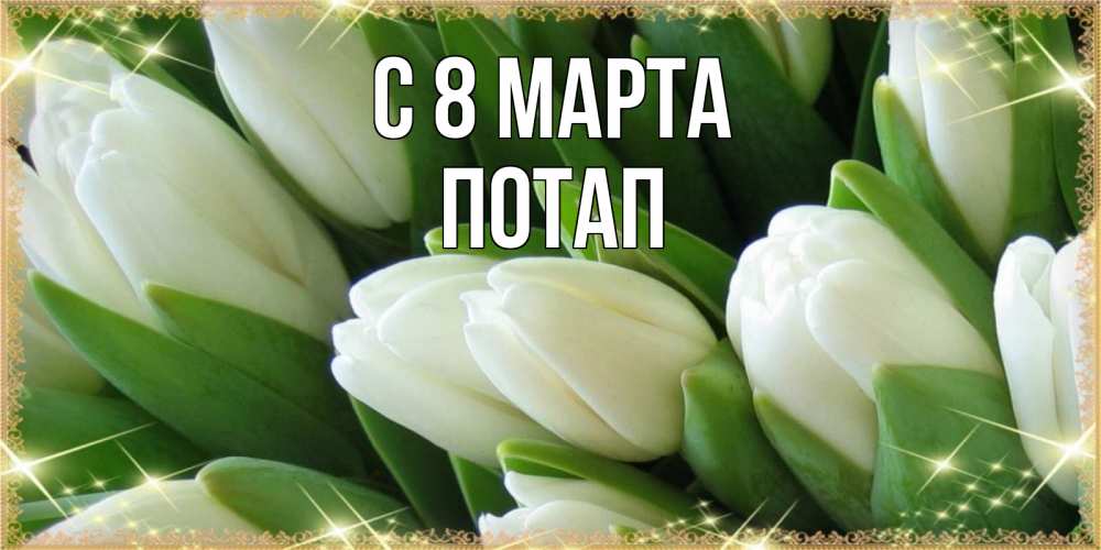 Открытка на каждый день с именем, Потап С 8 МАРТА поздравляем с 8 марта Прикольная открытка с пожеланием онлайн скачать бесплатно 