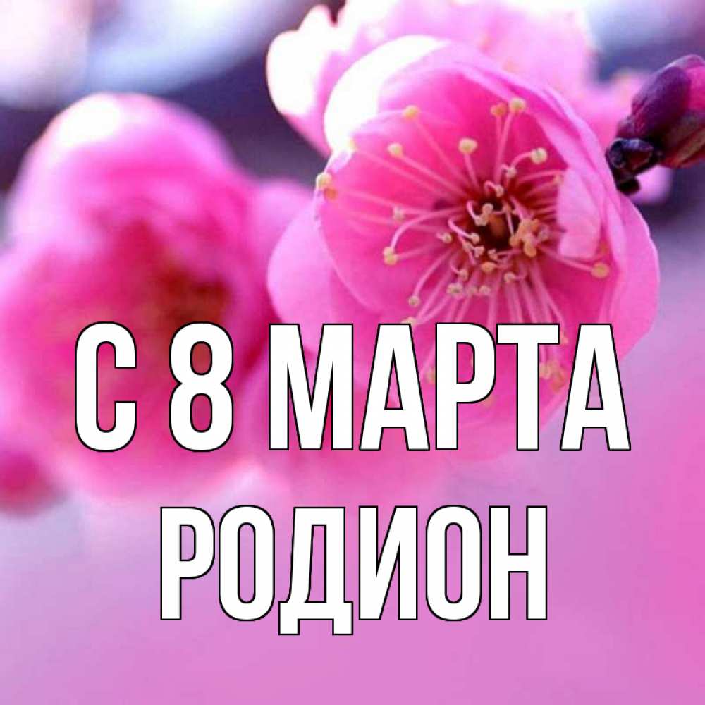 Открытка на каждый день с именем, Родион С 8 марта международный женский день Прикольная открытка с пожеланием онлайн скачать бесплатно 