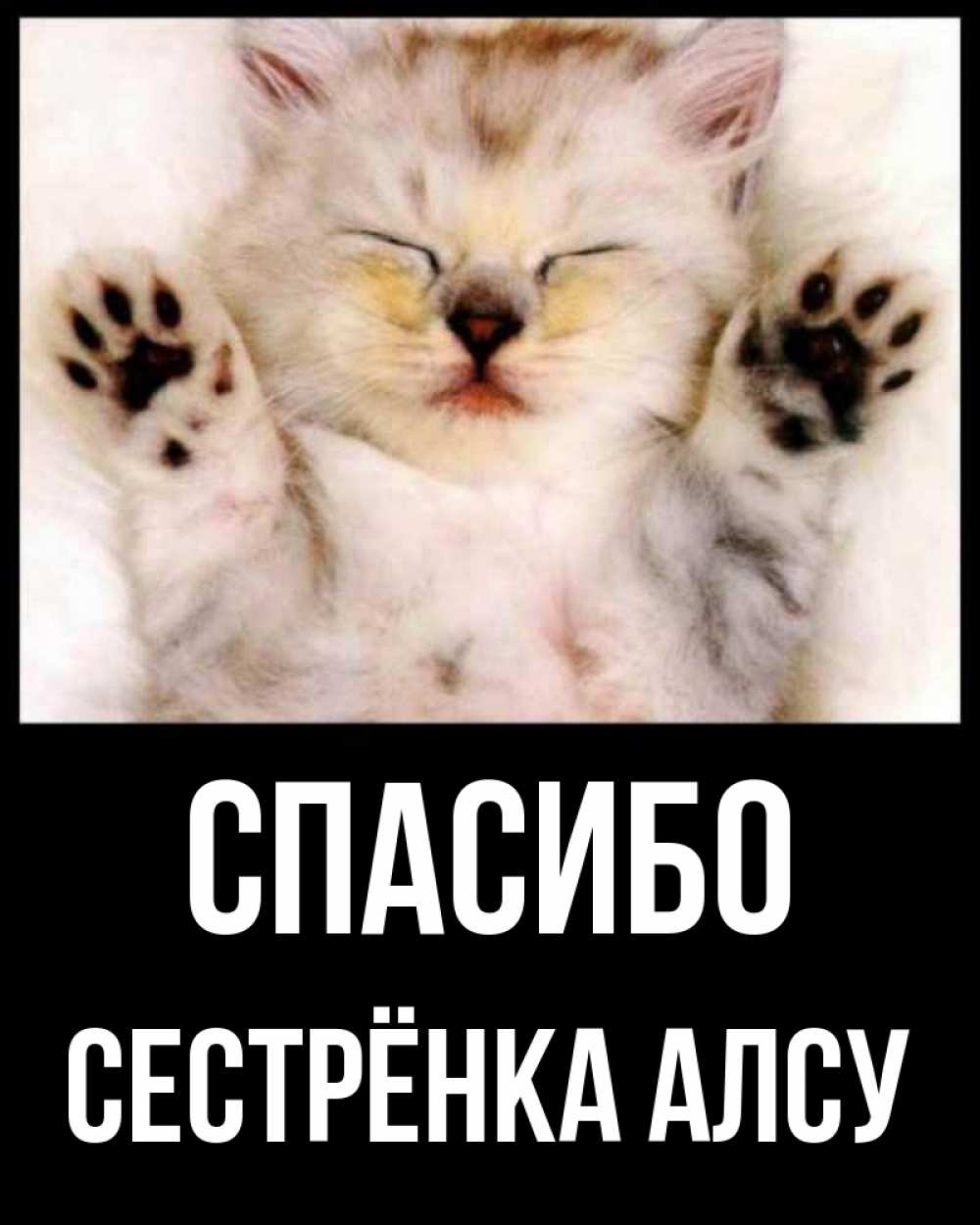 Открытка на каждый день с именем, Сестрёнка-Алсу Спасибо маленький котенок Прикольная открытка с пожеланием онлайн скачать бесплатно 
