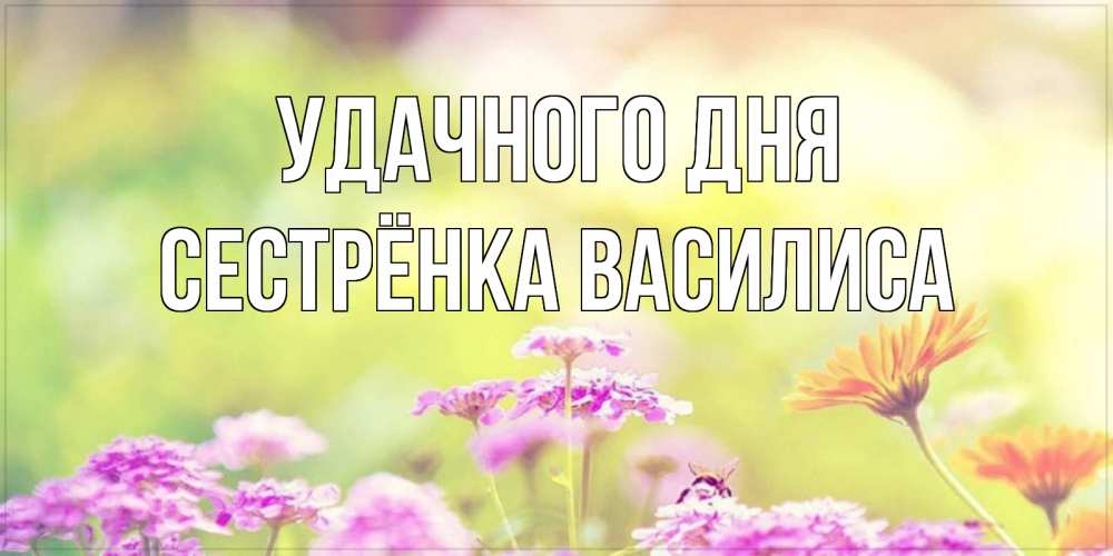 Открытка на каждый день с именем, Сестрёнка-Василиса Удачного дня красивая открытка с летней темой Прикольная открытка с пожеланием онлайн скачать бесплатно 