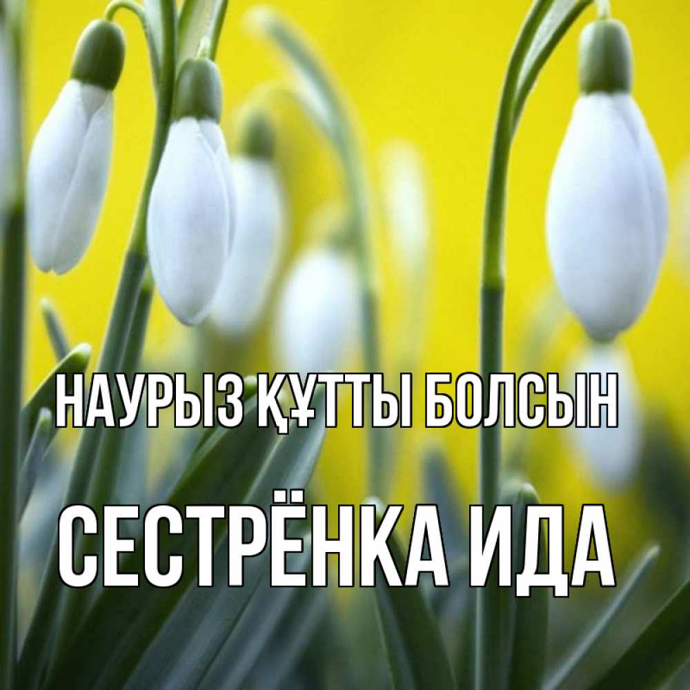 Открытка на каждый день с именем, Сестрёнка-Ида Наурыз құтты болсын весенние цветы Прикольная открытка с пожеланием онлайн скачать бесплатно 