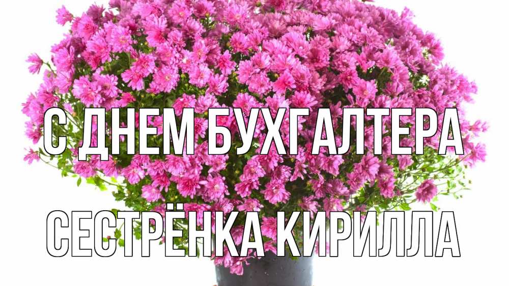 Открытка на каждый день с именем, Сестрёнка-Кирилла С днем бухгалтера с днем бухгалтера Прикольная открытка с пожеланием онлайн скачать бесплатно 