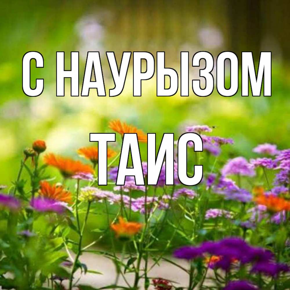 Открытка на каждый день с именем, Таис С наурызом цветы Прикольная открытка с пожеланием онлайн скачать бесплатно 