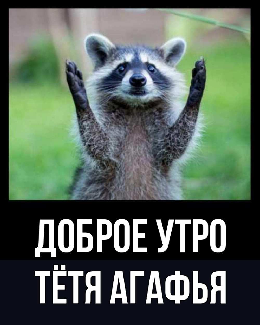 Открытка на каждый день с именем, Тётя-Агафья Доброе утро хорошее настроение утречком Прикольная открытка с пожеланием онлайн скачать бесплатно 