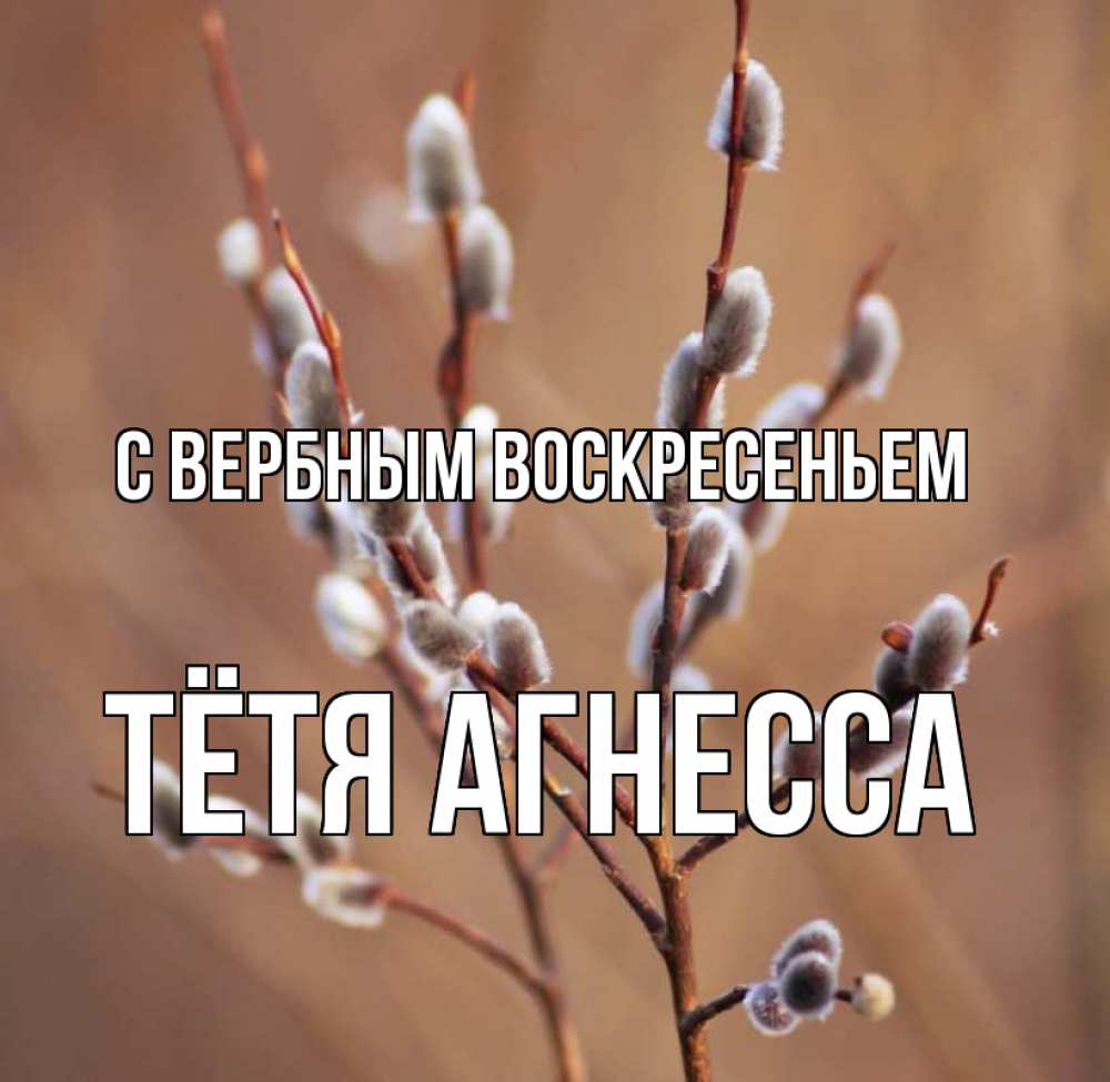 Открытка на каждый день с именем, Тётя-Агнесса С вербным воскресеньем верба Прикольная открытка с пожеланием онлайн скачать бесплатно 