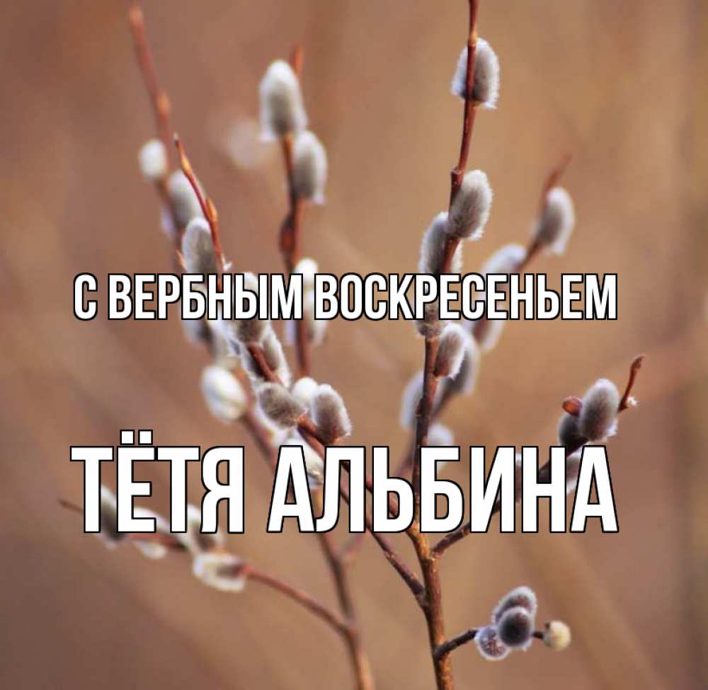 Открытка на каждый день с именем, Тётя-Альбина С вербным воскресеньем верба Прикольная открытка с пожеланием онлайн скачать бесплатно 