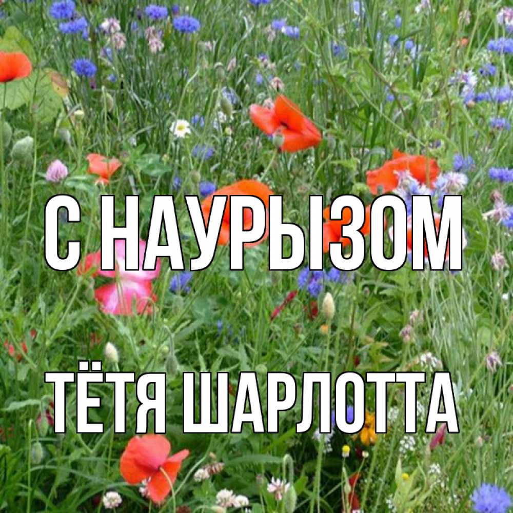Открытка на каждый день с именем, Тётя-Шарлотта С наурызом праздник весны наурыз супер открытка Прикольная открытка с пожеланием онлайн скачать бесплатно 