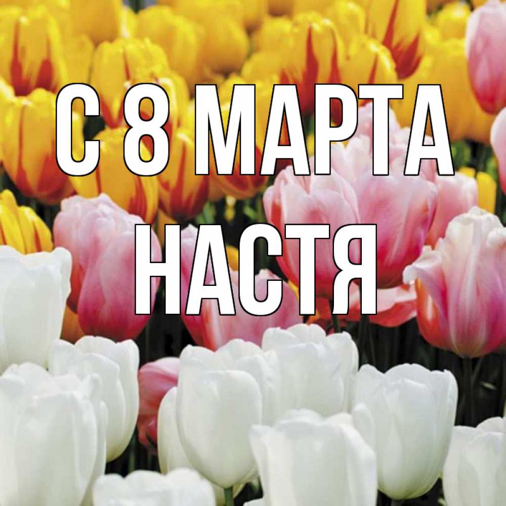 Открытка на каждый день с именем, Настя С 8 марта разноцветные цветы Прикольная открытка с пожеланием онлайн скачать бесплатно 