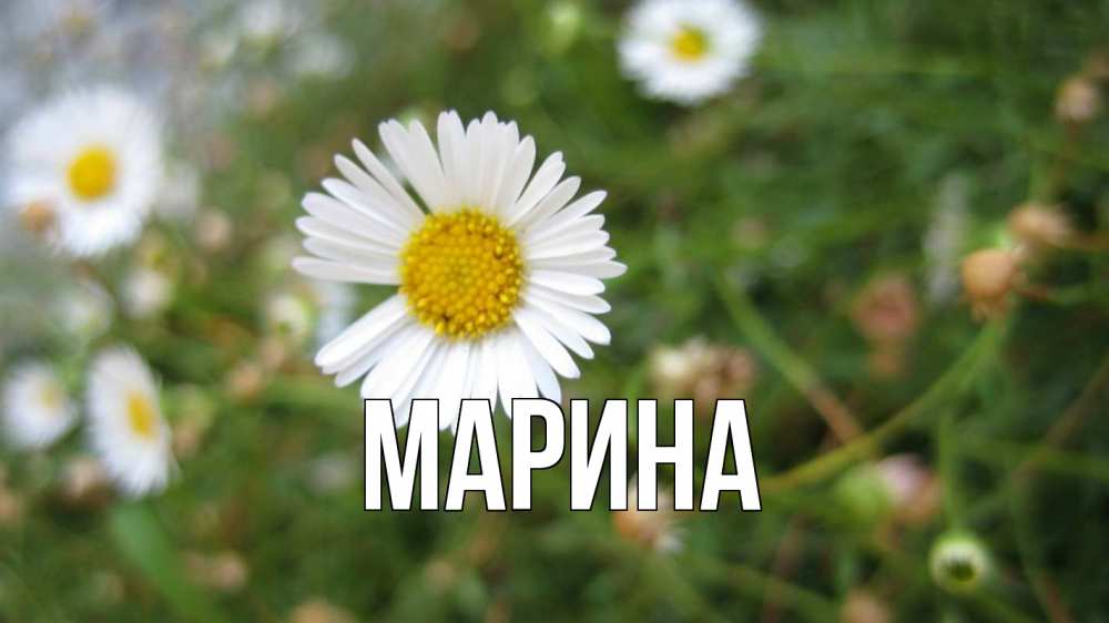 Открытка на каждый день с именем, Марина Главная с днем семьи Прикольная открытка с пожеланием онлайн скачать бесплатно 