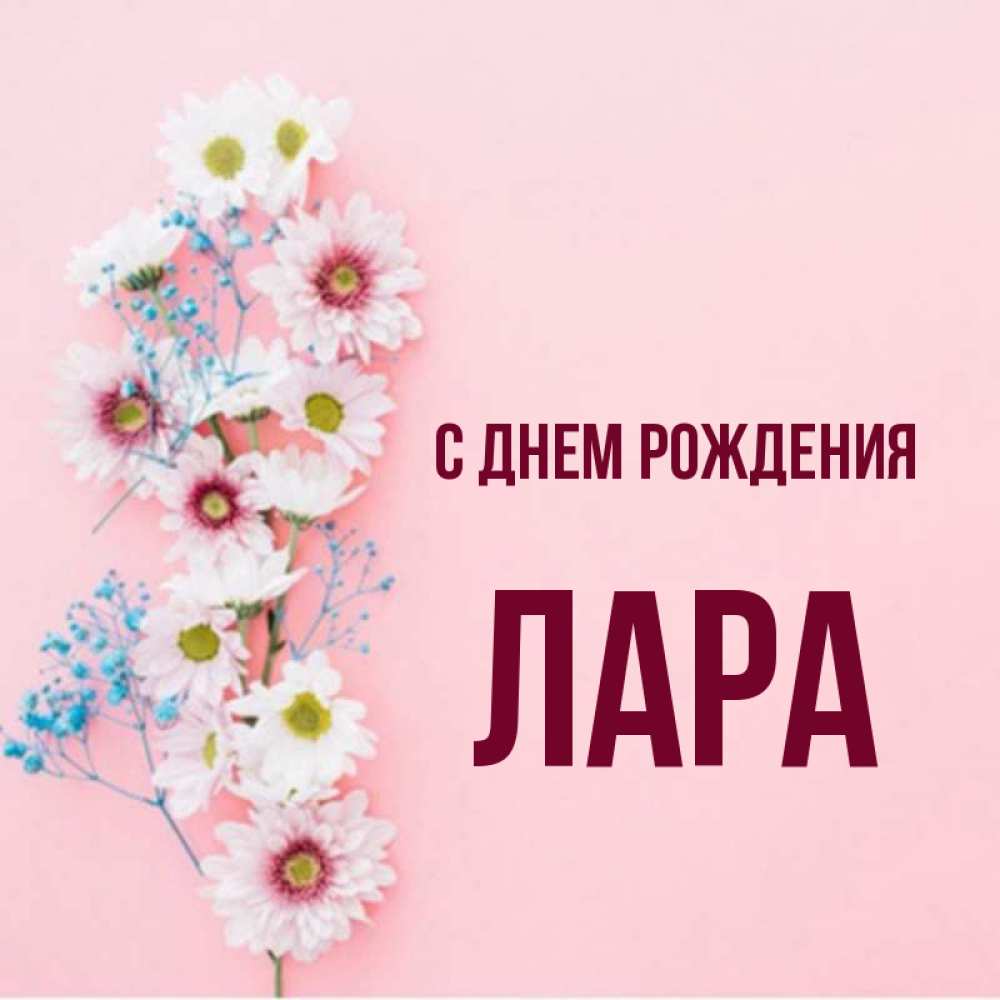 Лара с днем рождения картинки