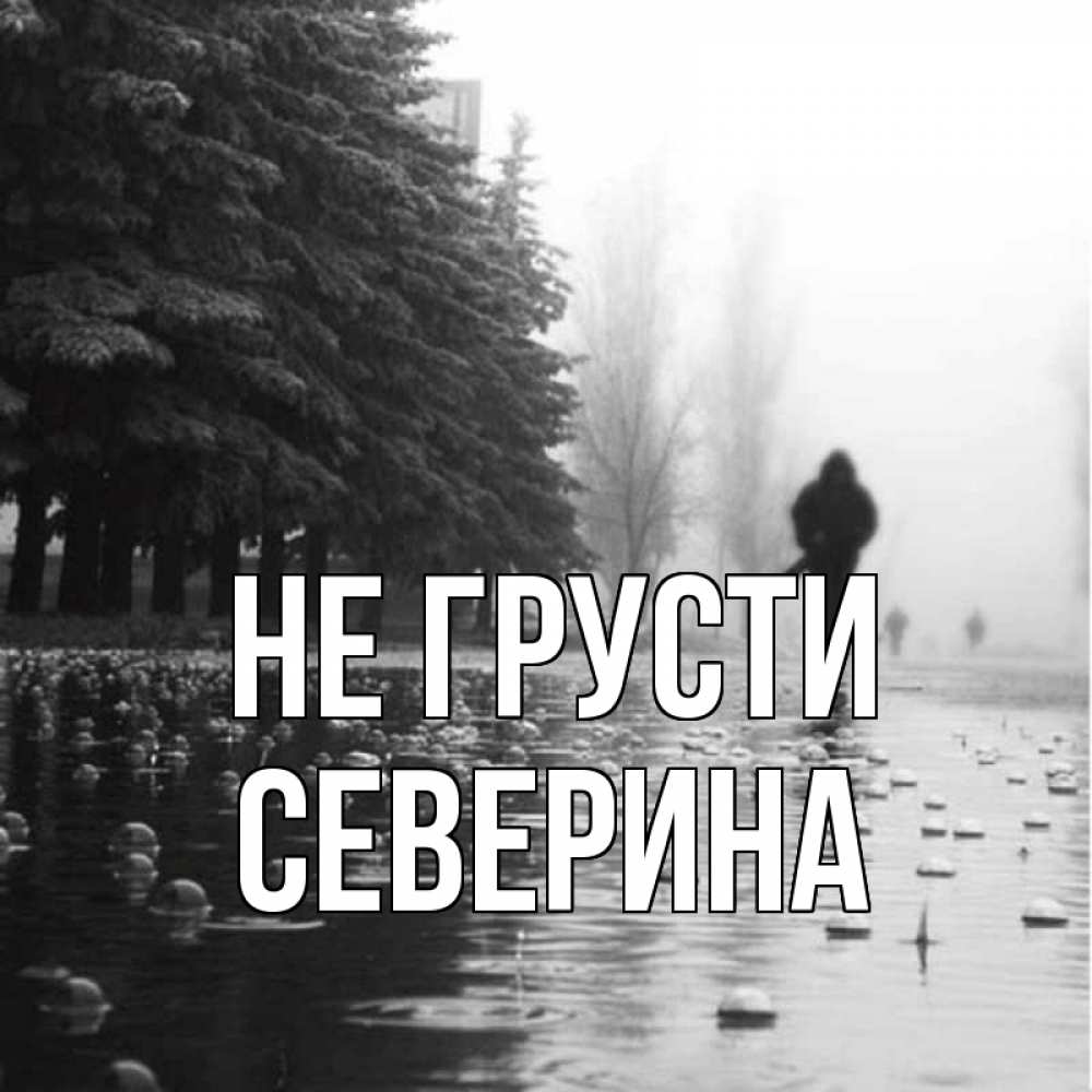 Открытка на каждый день с именем, Северина Не грусти улица под дождем Прикольная открытка с пожеланием онлайн скачать бесплатно 
