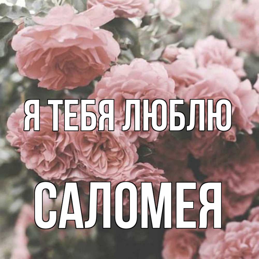 Открытка на каждый день с именем, Саломея Я тебя люблю розы 3 Прикольная открытка с пожеланием онлайн скачать бесплатно 