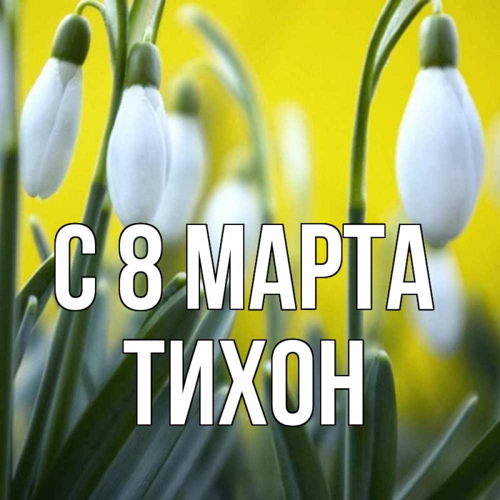 Открытка на каждый день с именем, Тихон С 8 МАРТА весенние цветы Прикольная открытка с пожеланием онлайн скачать бесплатно 