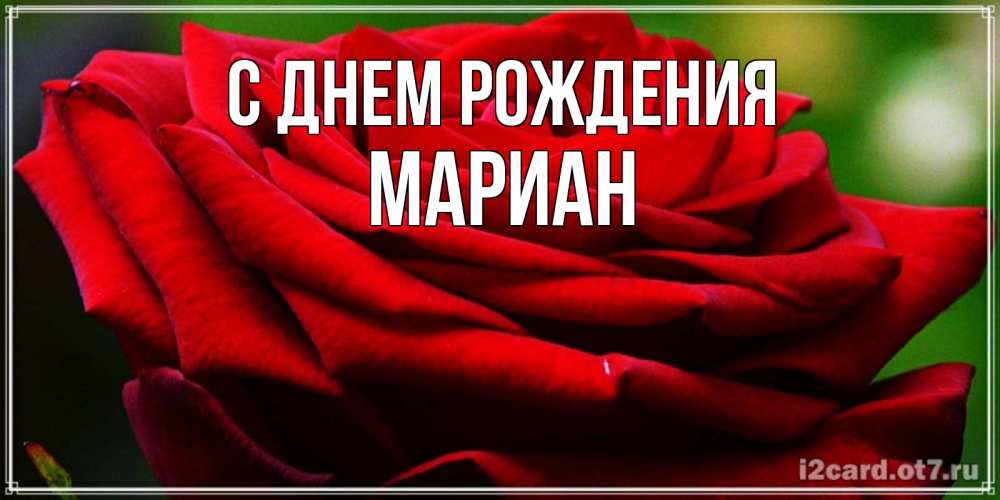 Открытка на каждый день с именем, Мариан С днем рождения розочка очень красивая Прикольная открытка с пожеланием онлайн скачать бесплатно 