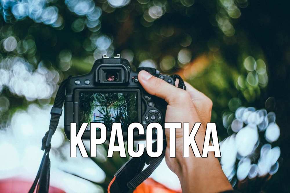 Открытка на каждый день с именем, красотка Главная с днем фотографа Прикольная открытка с пожеланием онлайн скачать бесплатно 