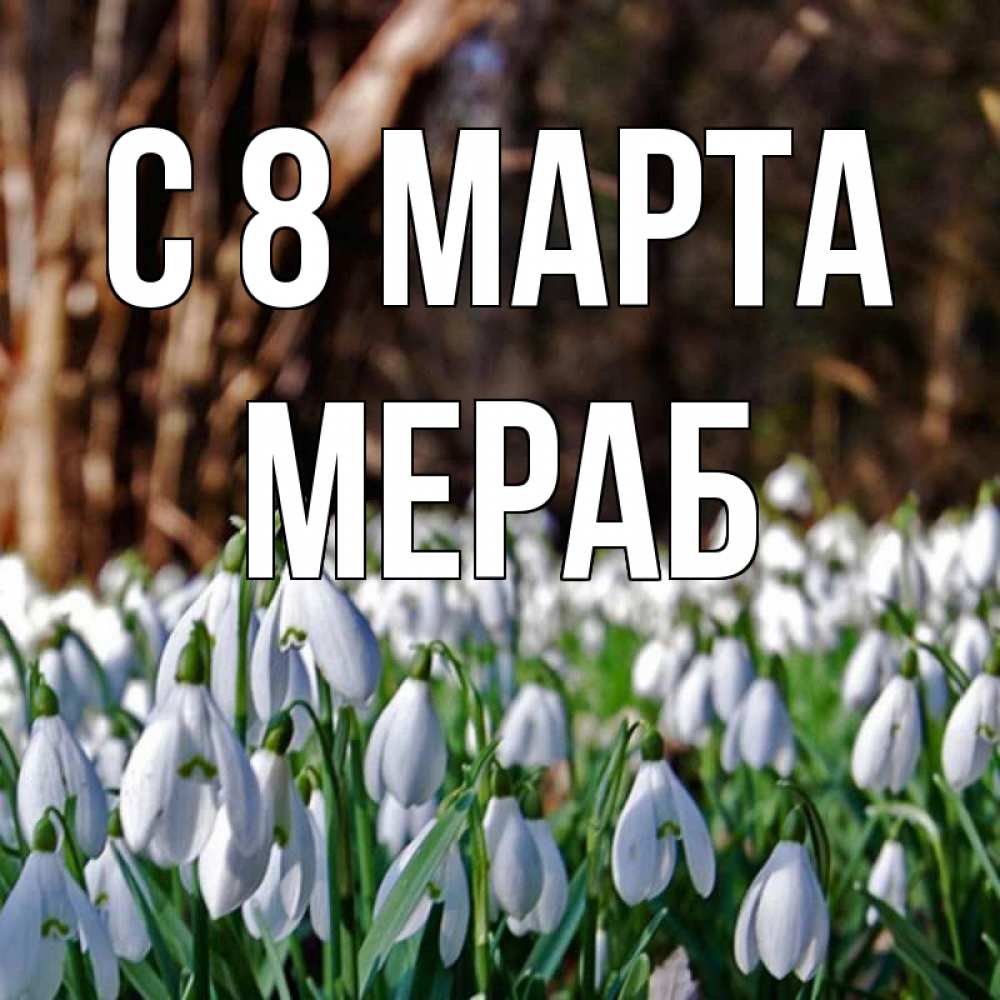 Открытка на каждый день с именем, Мераб С 8 МАРТА с подснежниками 1 Прикольная открытка с пожеланием онлайн скачать бесплатно 