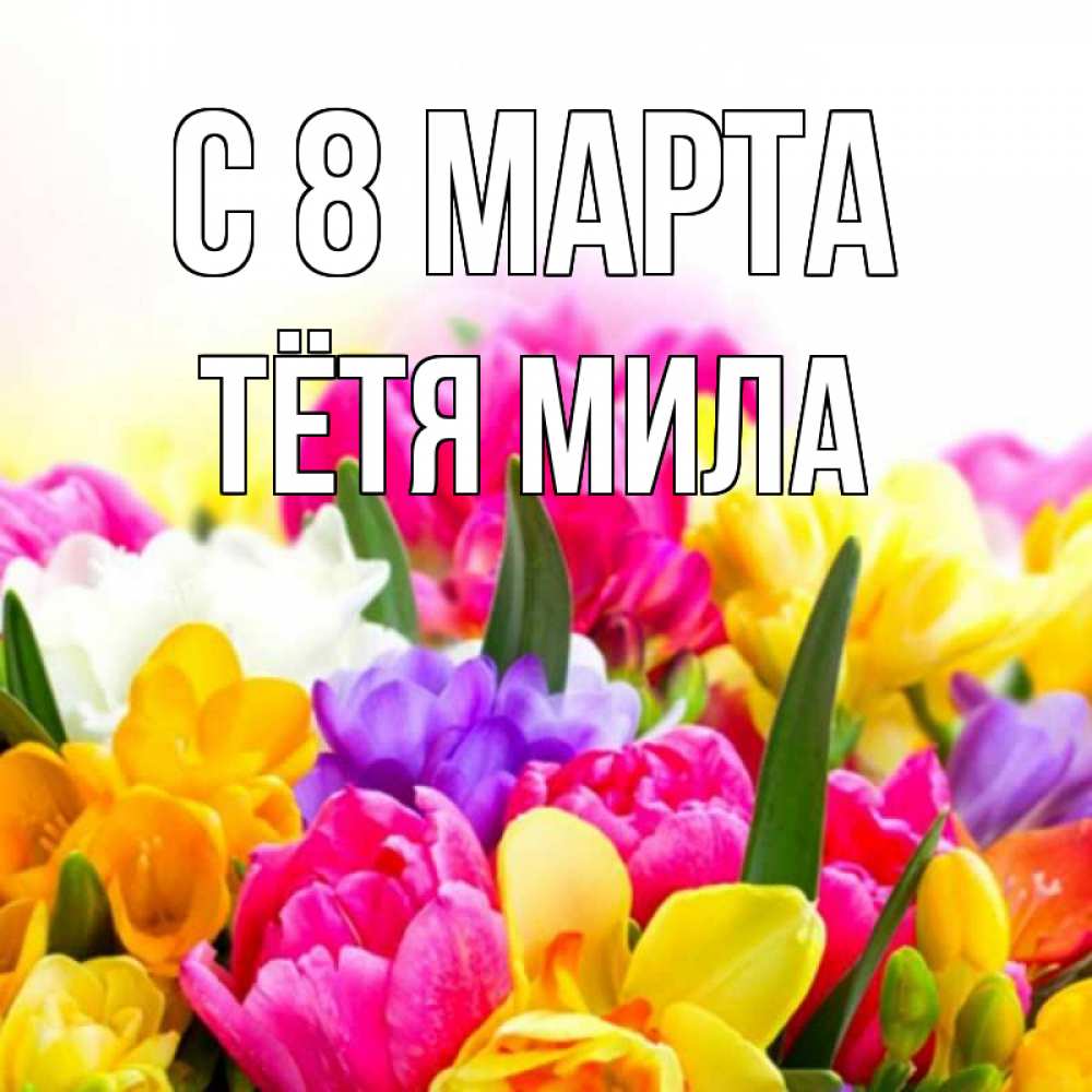 Открытка на каждый день с именем, Тётя-Мила С 8 МАРТА тюльпаны Прикольная открытка с пожеланием онлайн скачать бесплатно 