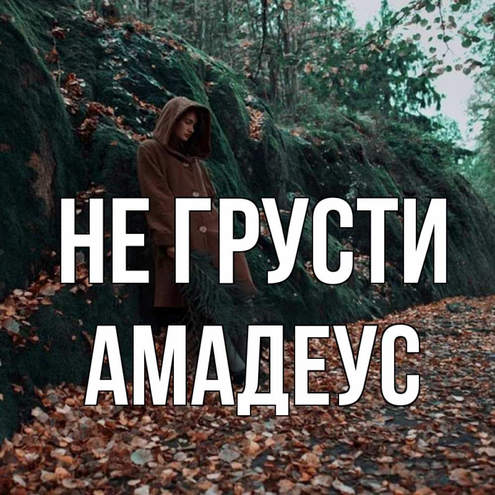 Открытка на каждый день с именем, Амадеус Не грусти осенний лес Прикольная открытка с пожеланием онлайн скачать бесплатно 