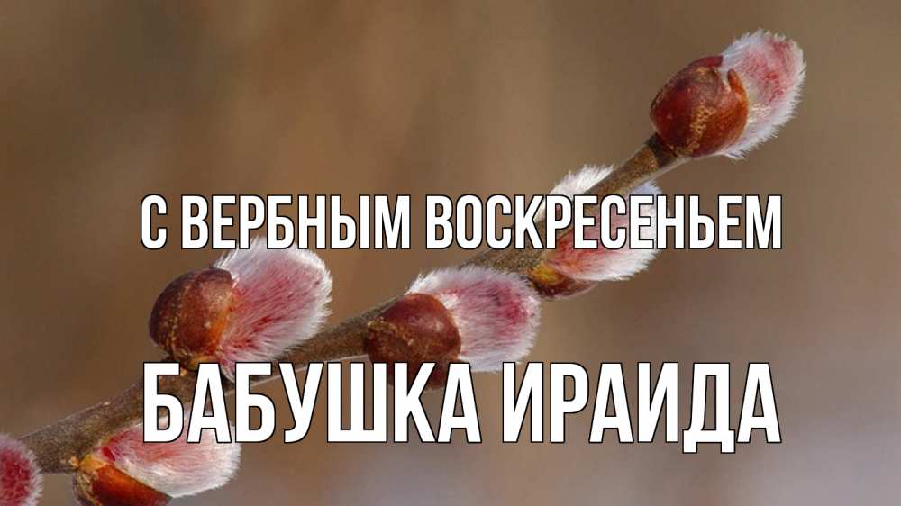 Открытка на каждый день с именем, Бабушка-Ираида С вербным воскресеньем верба Прикольная открытка с пожеланием онлайн скачать бесплатно 