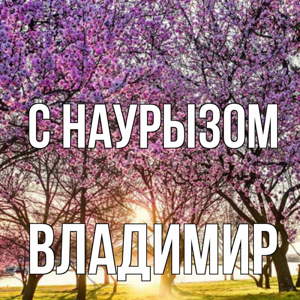 Открытка на каждый день с именем, Владимир С наурызом праздник весны наурыз Прикольная открытка с пожеланием онлайн скачать бесплатно 