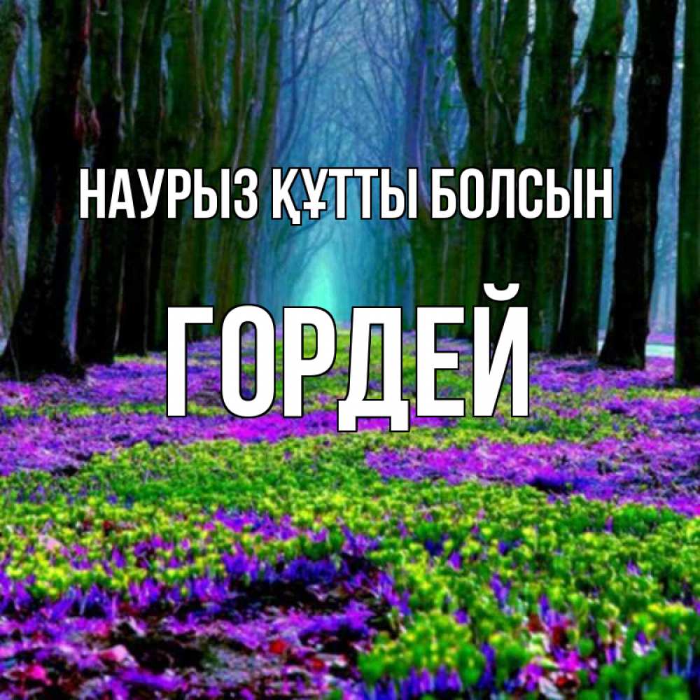 Открытка на каждый день с именем, Гордей Наурыз құтты болсын фиолетовые цветы в лесу 1 Прикольная открытка с пожеланием онлайн скачать бесплатно 