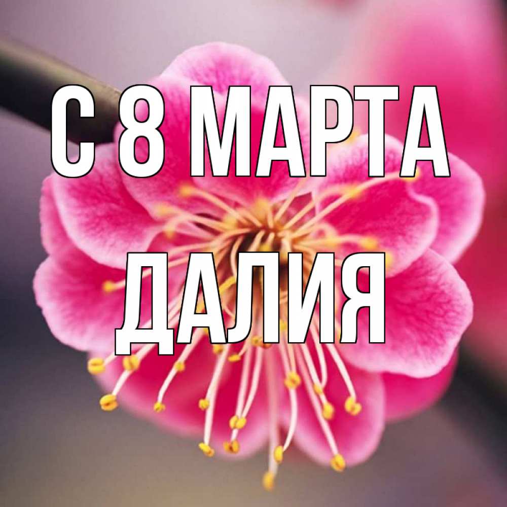 Открытка на каждый день с именем, Далия С 8 МАРТА цветы Прикольная открытка с пожеланием онлайн скачать бесплатно 