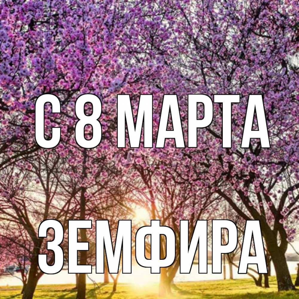 Открытка на каждый день с именем, Земфира С 8 марта международный женский день Прикольная открытка с пожеланием онлайн скачать бесплатно 