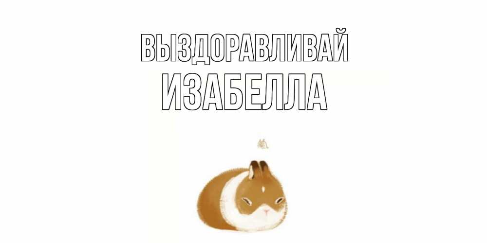 Открытка на каждый день с именем, Изабелла Выздоравливай морская свинка на открытке с пожеланиями не болеть Прикольная открытка с пожеланием онлайн скачать бесплатно 