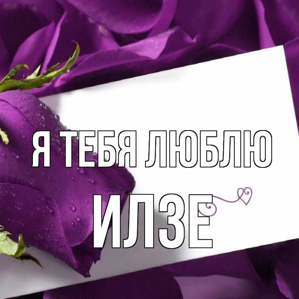 Открытка на каждый день с именем, Илзе Я тебя люблю роза Прикольная открытка с пожеланием онлайн скачать бесплатно 
