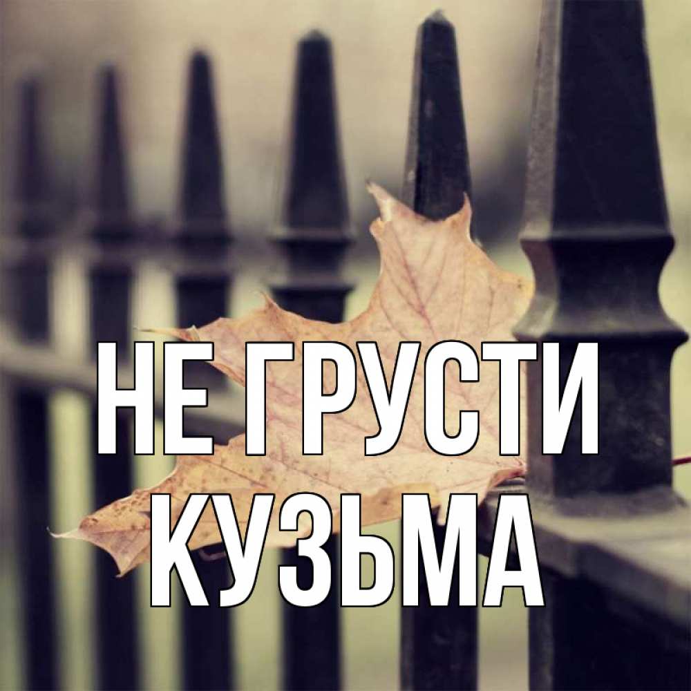 Открытка на каждый день с именем, Кузьма Не грусти лист клена Прикольная открытка с пожеланием онлайн скачать бесплатно 